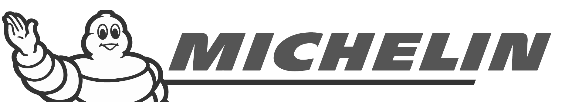 vandel bilservice michelin